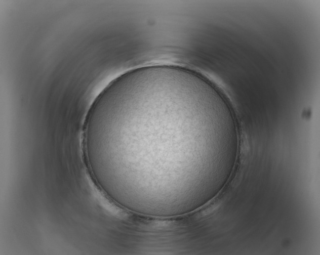 X0000112421423200908281828