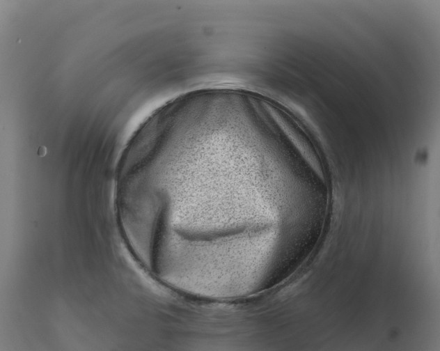 X0000112421424200908281828