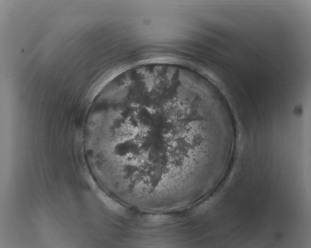 X0000112421425200908281828