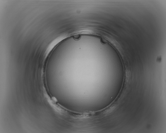 X0000112421426200908281828