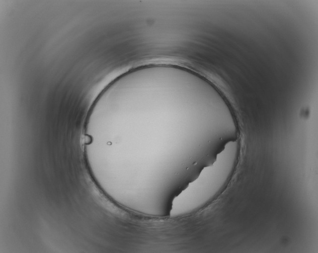 X0000112421428200908281828