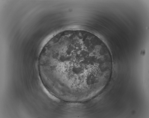 X0000112421429200908281828