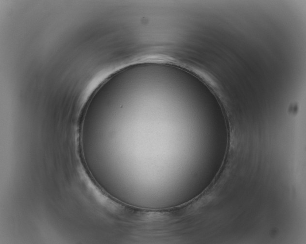 X0000112421430200908281828