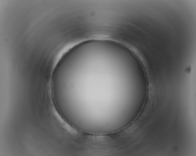 X0000112421432200908281828