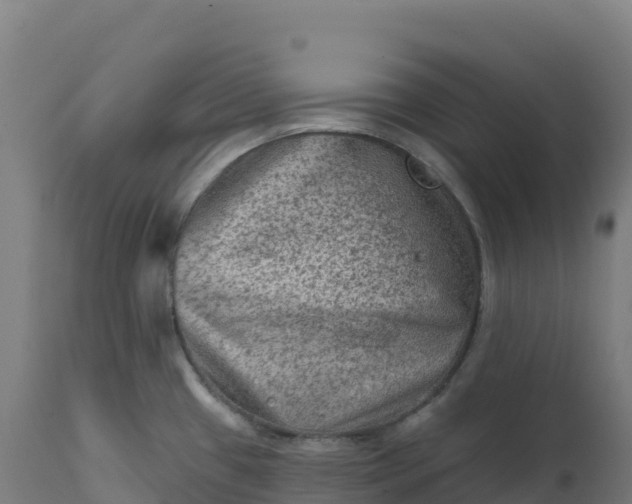 X0000112421433200908281828