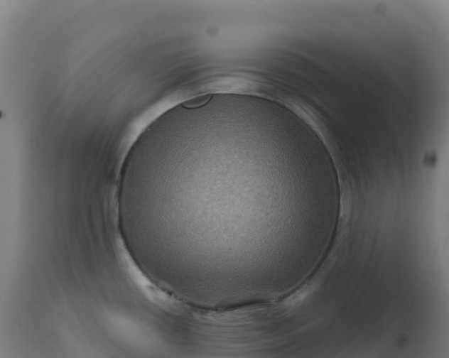 X0000112421434200908281828