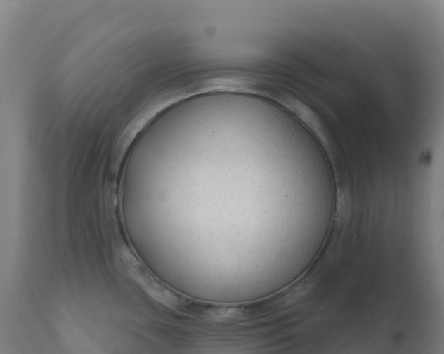 X0000112421435200908281828