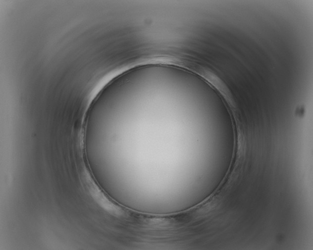 X0000112421436200908281828