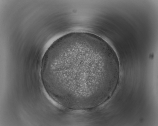 X0000112421437200908281828