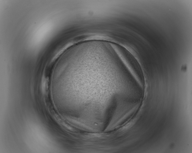 X0000112421438200908281828