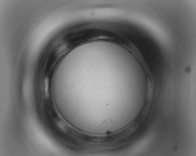 X0000112421439200908281828