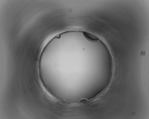 X0000112421440200908281828