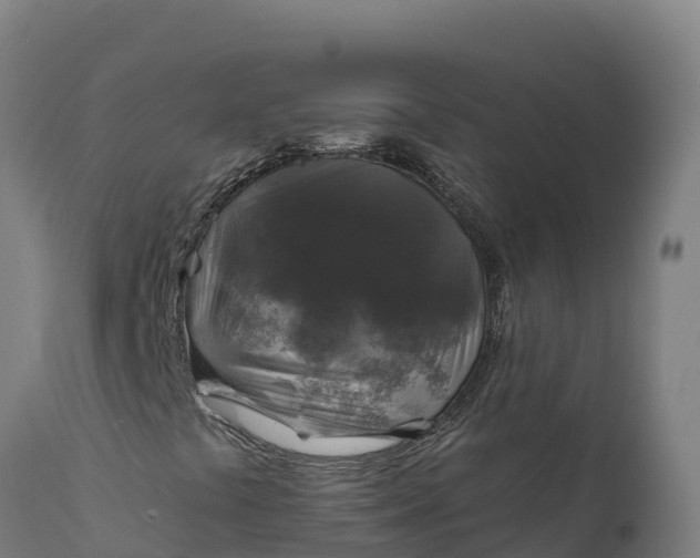 X0000112421441200908281827