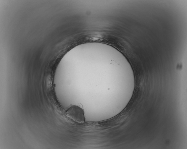 X0000112421442200908281827