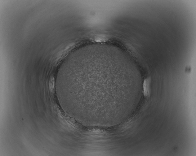 X0000112421443200908281827