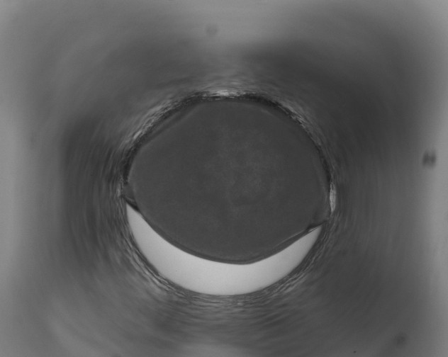 X0000112421444200908281827