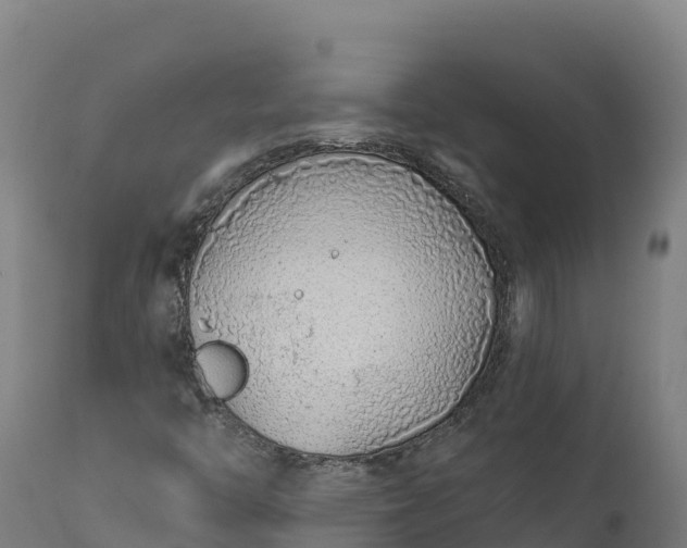 X0000112421446200908281827