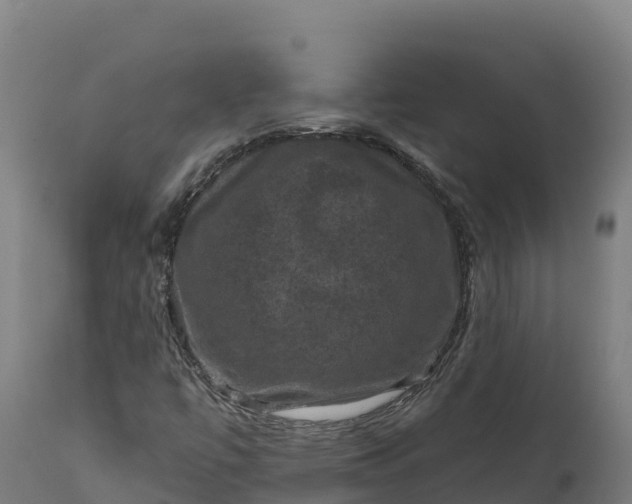 X0000112421447200908281827