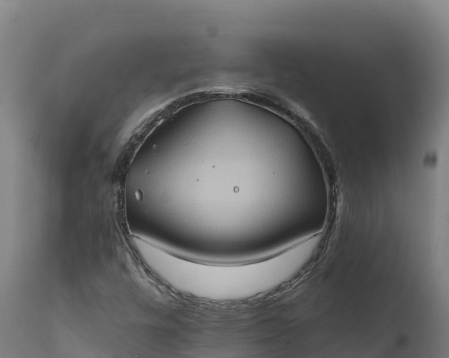 X0000112421448200908281827