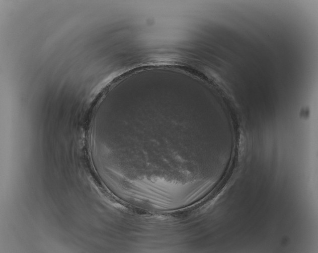 X0000112421449200908281827