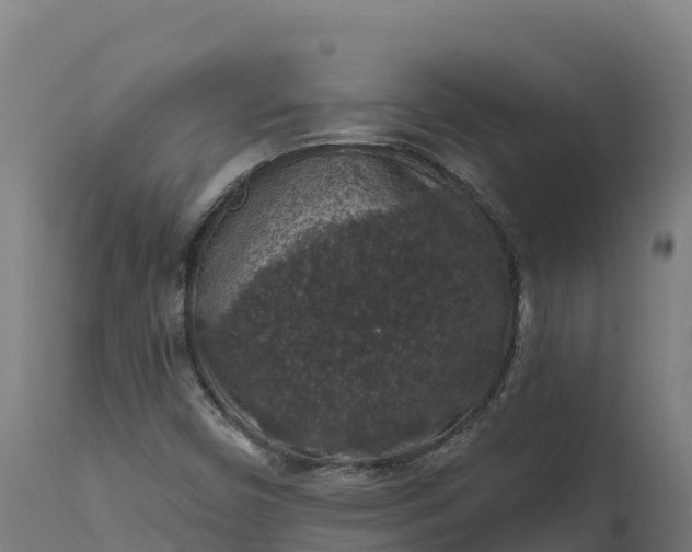 X0000112421450200908281827