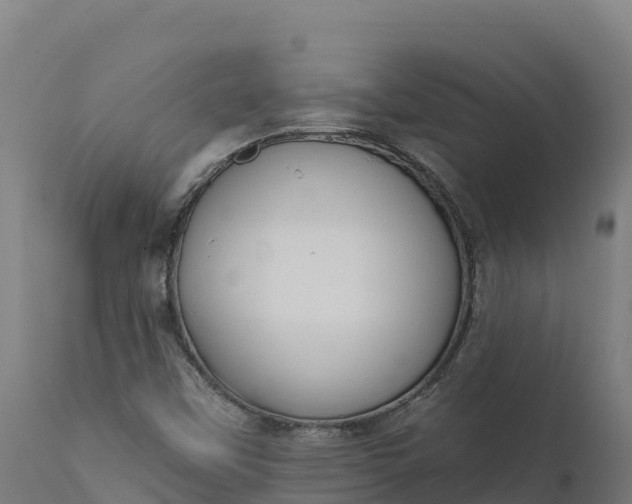 X0000112421451200908281827