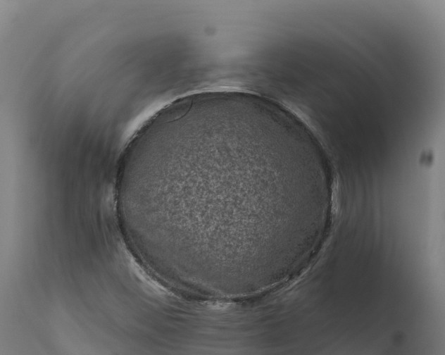 X0000112421452200908281827