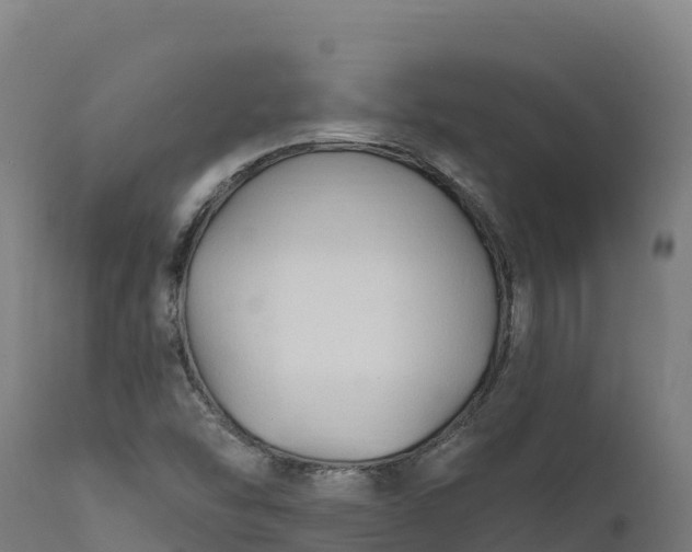 X0000112421454200908281827