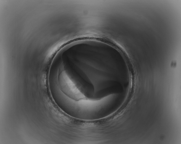 X0000112421455200908281827