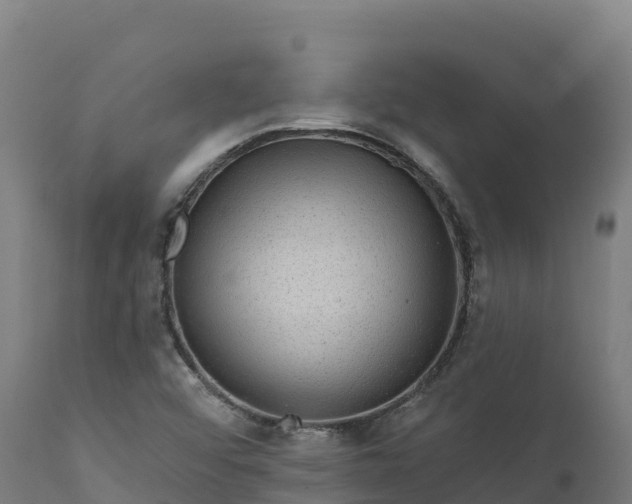 X0000112421456200908281827