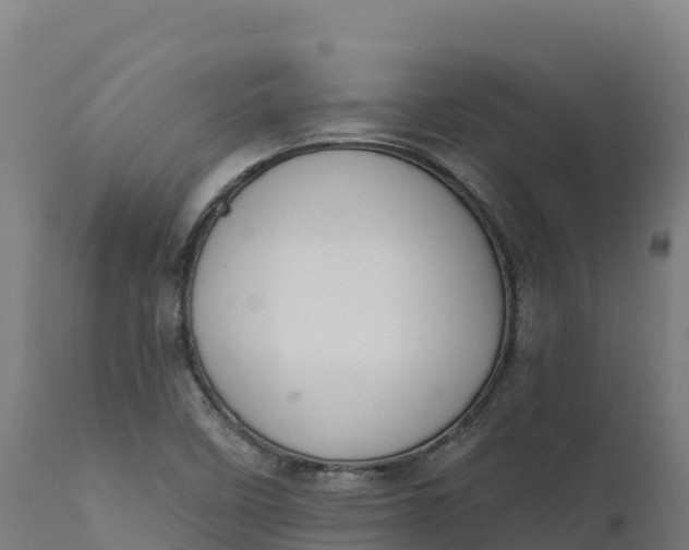 X0000112421458200908281827