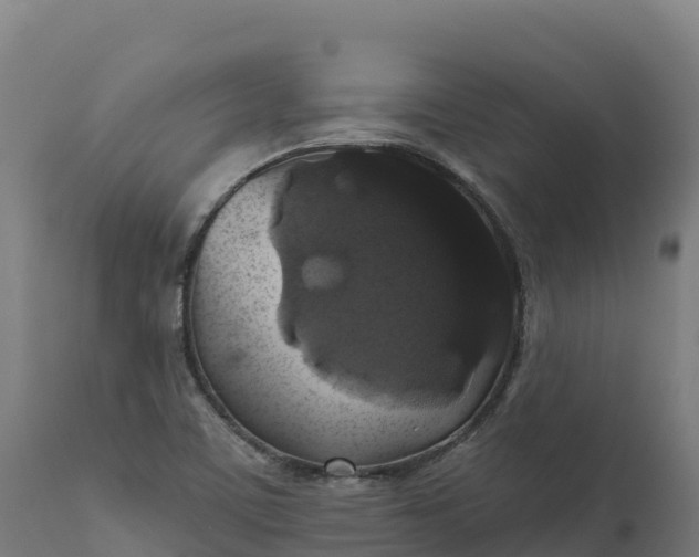 X0000112421459200908281827