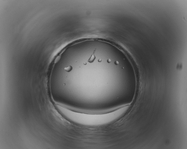 X0000112421460200908281827