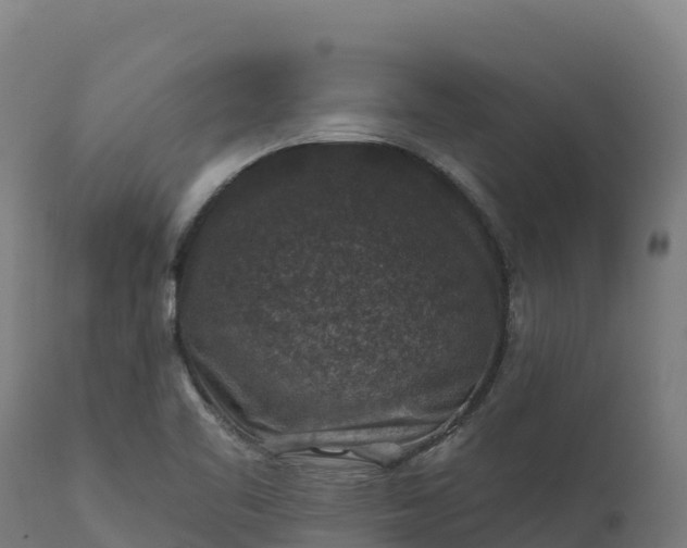 X0000112421461200908281827