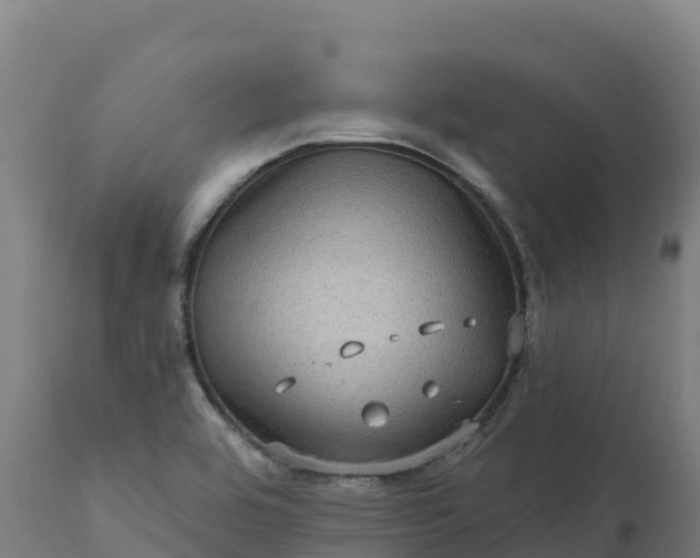 X0000112421464200908281827