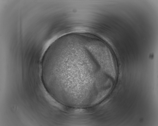 X0000112421467200908281827