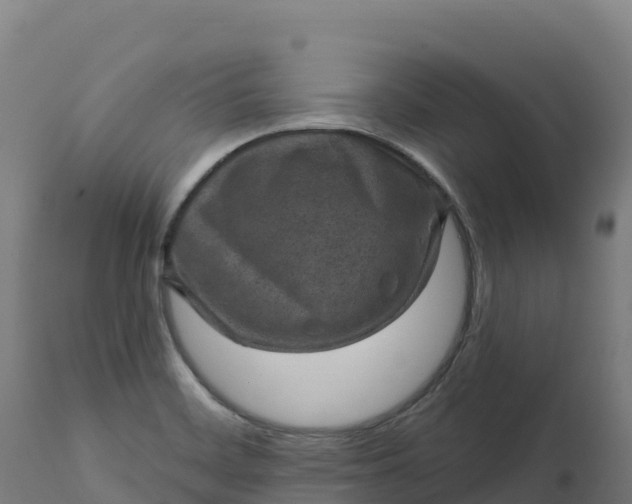 X0000112421468200908281827