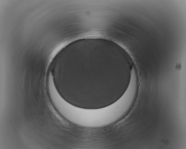 X0000112421469200908281827