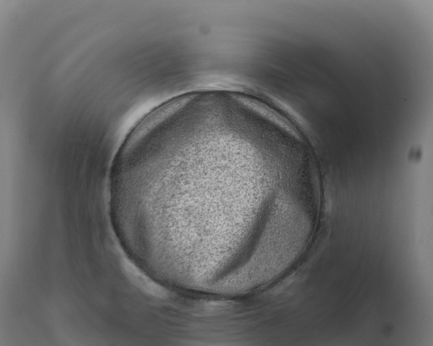 X0000112421471200908281827