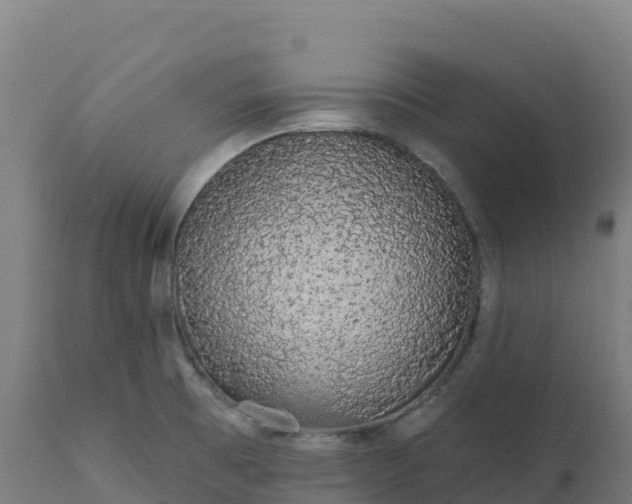 X0000112421473200908281827