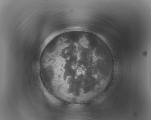 X0000112421474200908281827