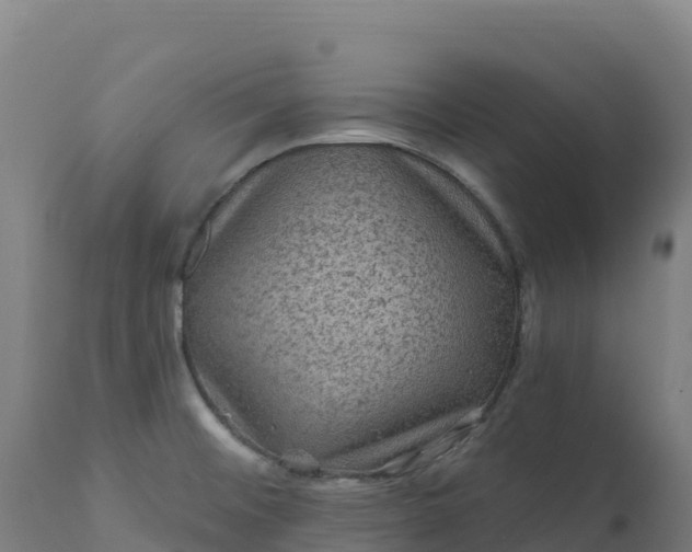 X0000112421476200908281827