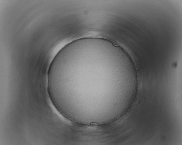 X0000112421479200908281826