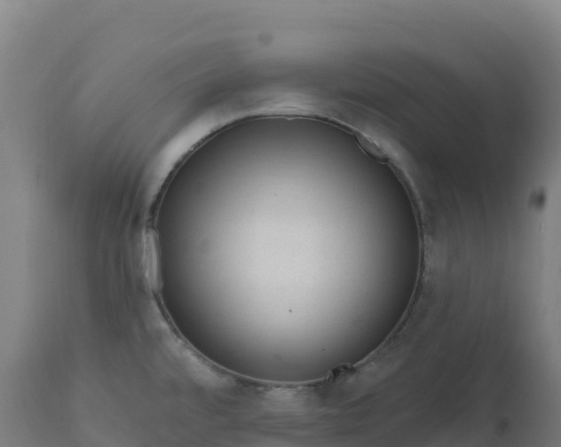 X0000112421480200908281826