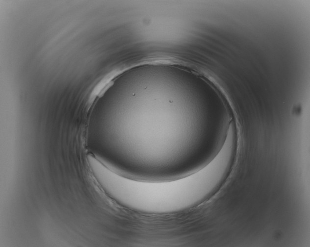 X0000112421481200908281826