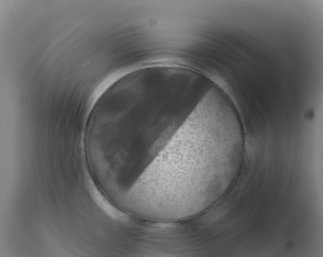 X0000112421482200908281826