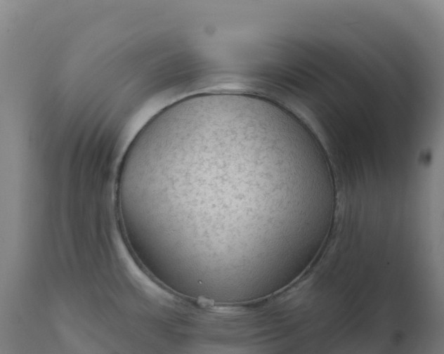 X0000112421483200908281826