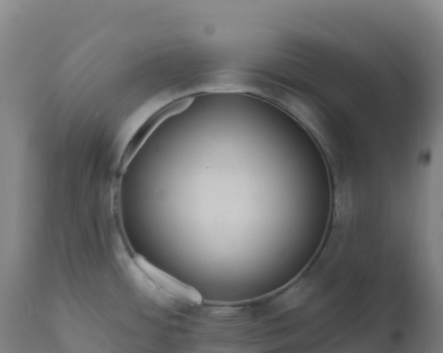 X0000112421484200908281826