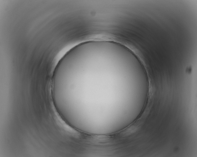 X0000112421486200908281826