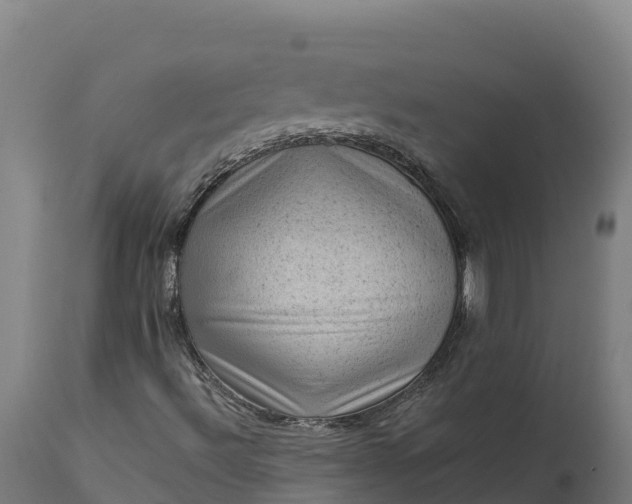 X0000112421492200908281826